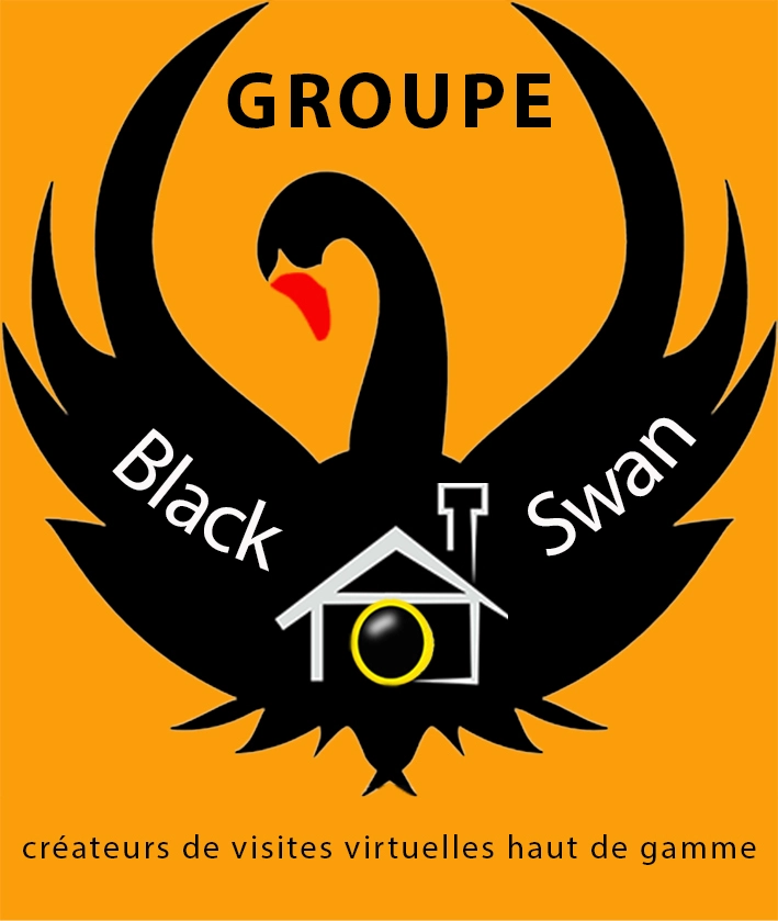 Groupe Black Swan